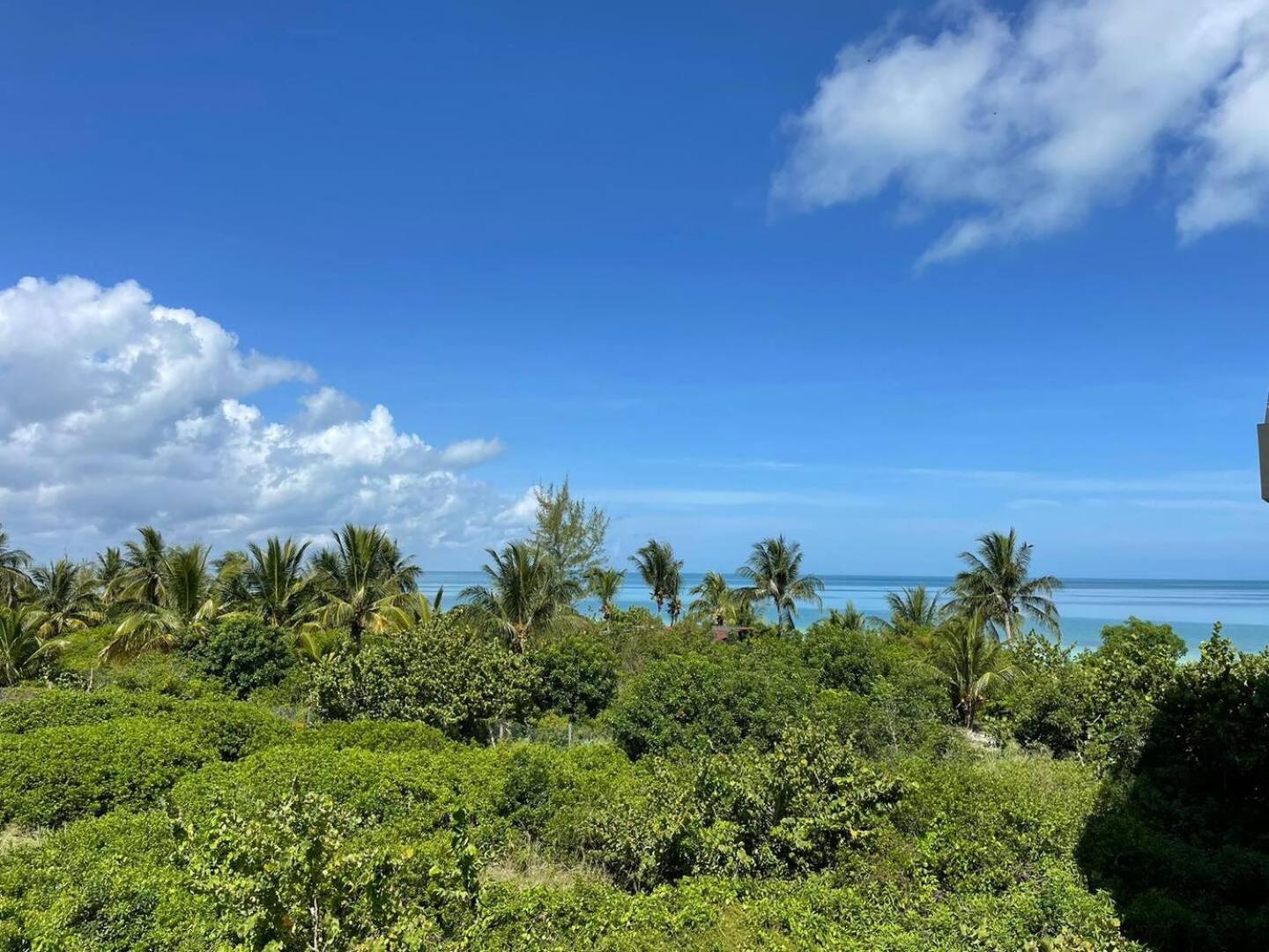 Hermoso Departamento Con Vista Al Mar Holbox Eksteriør billede